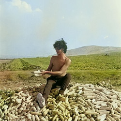 1981_AI-enh